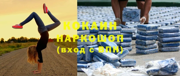 мдпв Богданович