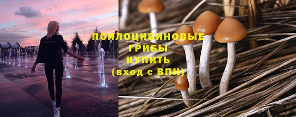не бодяженный Богородицк