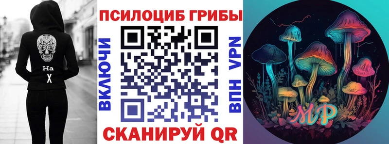 Псилоцибиновые грибы ЛСД  маркетплейс телеграм  KRAKEN ссылки  Мглин  как найти закладки 